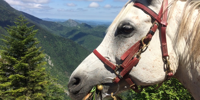 Montségur - Camurac