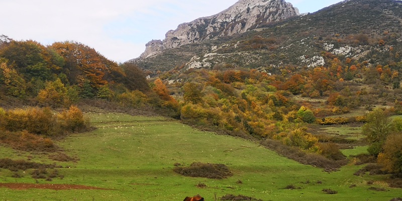 Bugarach - Camp-sur-l'Agly