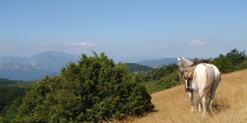 Embres-et-Castelmaure - Durban-Corbières