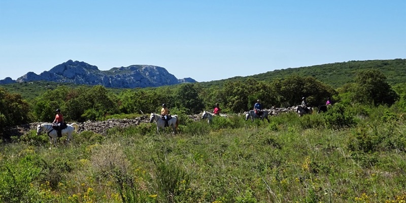 Durban-Corbières - Roquefort-des-Corbières