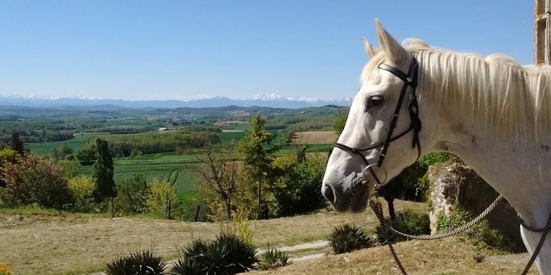 Villepinte - Brézillac