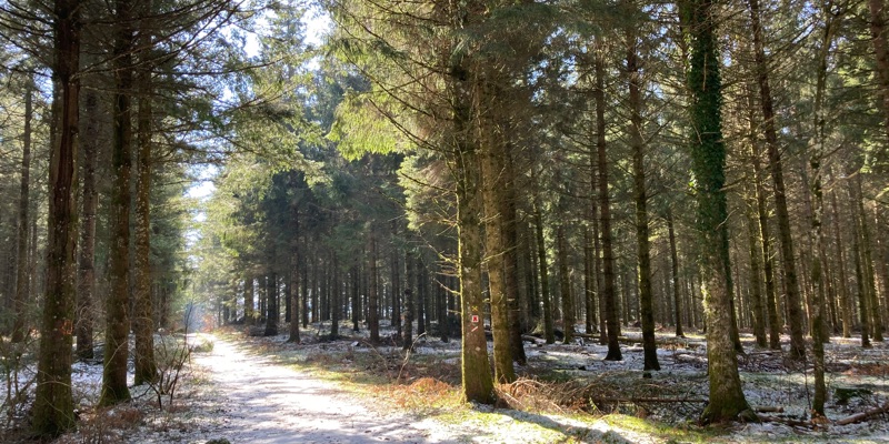 Cambounès - Anglès