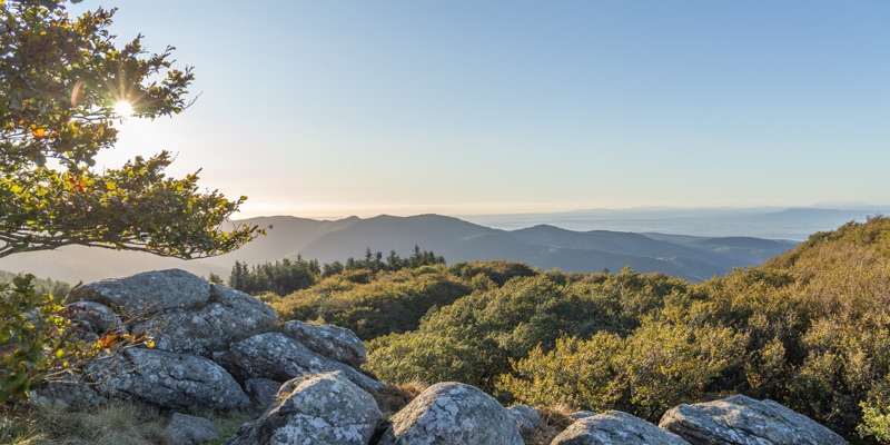 Labastide-Rouairoux - Roc de Peyremaux