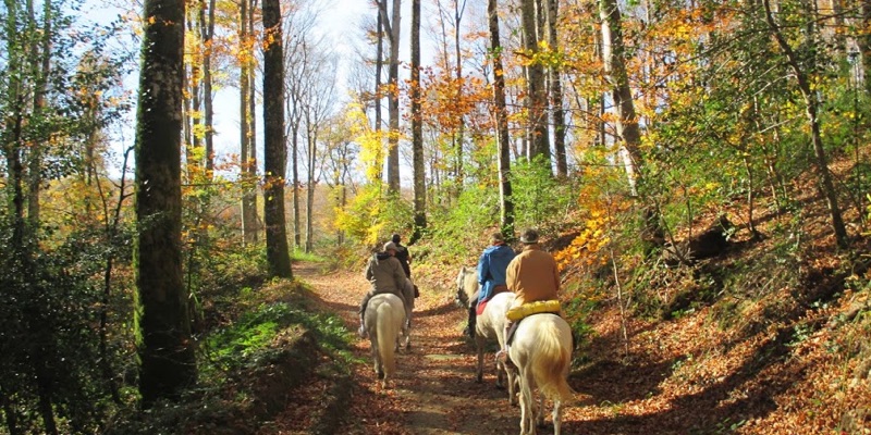 Lac Des Montagnès - Font-Bruno